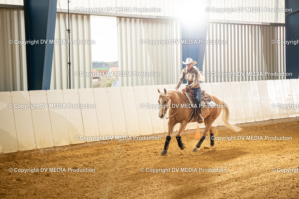 MIT00462 | dv-media-shop - Realisiert mit Pictrs.com