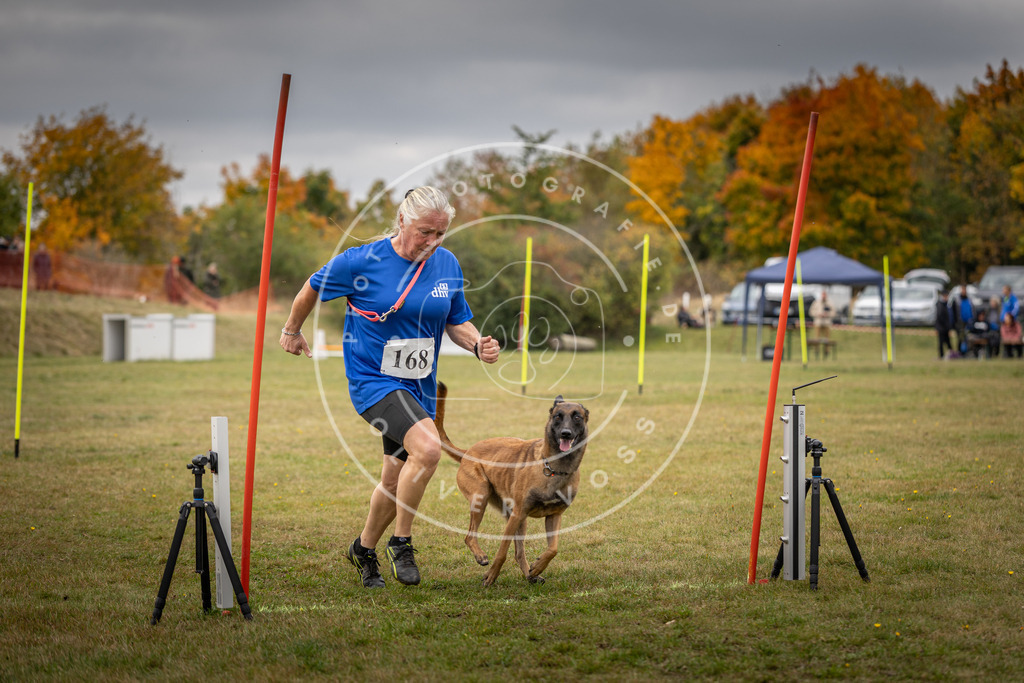 Pfotenfotografie_DV3A5949 | Hundefotografie, Tierfotograf, Pfotenfotografie, Fotoshooting Hund, Hunde Portrait, Hundesport, Hundeportraits, Heideshooting, Hunde, Sportfotograf, Hundefotograf, Turnierhundsport, THS,  - Realisiert mit Pictrs.com