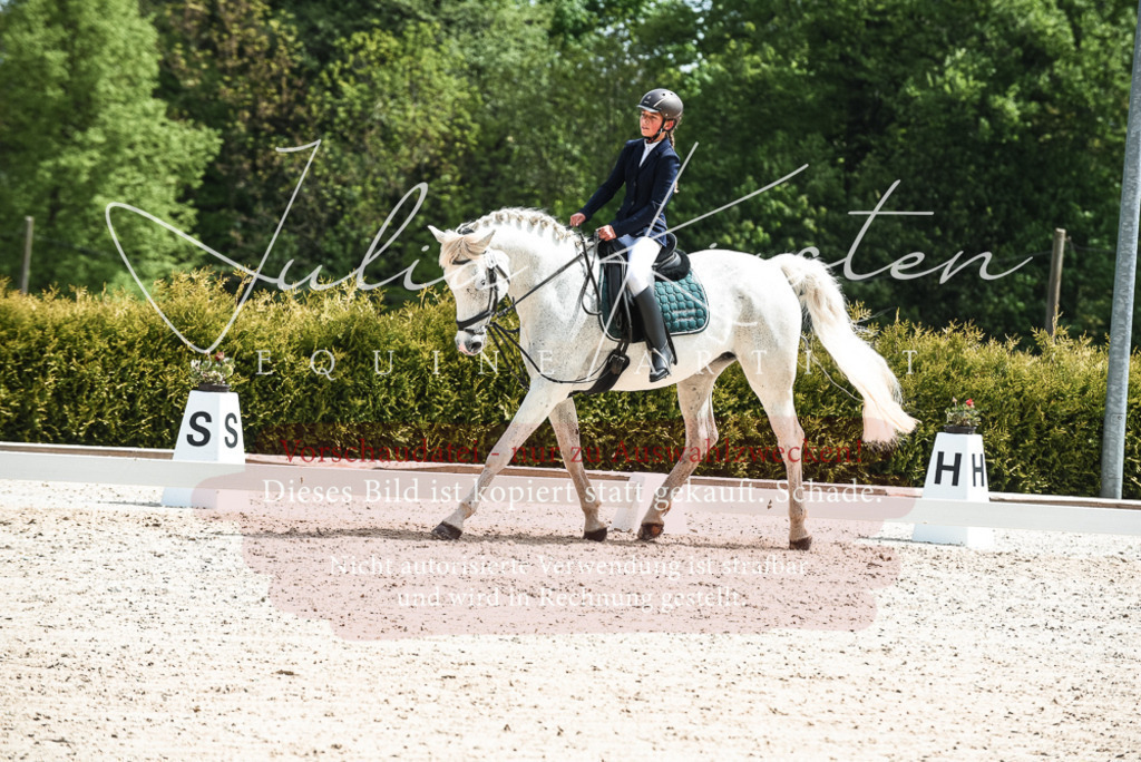 20230518_JK-Röhrsdorf-11-0395 | Pferde- und Turnierfotografie in Westsachsen. Pferdeportraits, Auftragszeichnungen und intuitive Kunst.