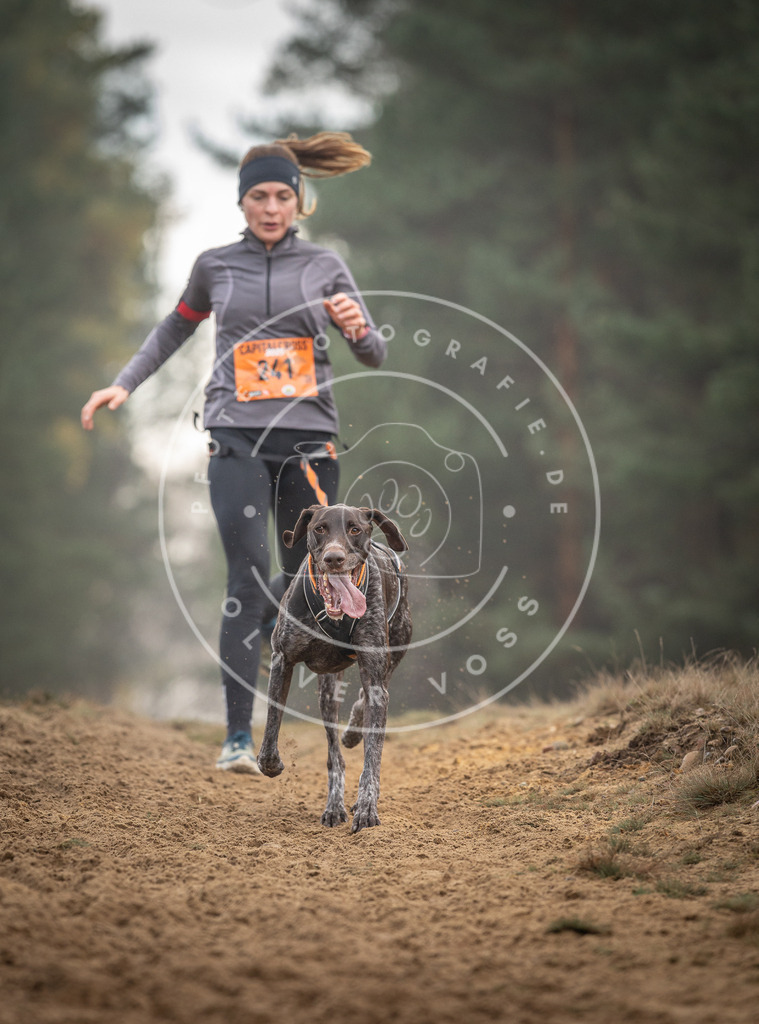 Pfotenfotografie_DV3A5695 | Hundefotografie, Tierfotograf, Pfotenfotografie, Fotoshooting Hund, Hunde Portrait, Hundesport, Hundeportraits, Heideshooting, Hunde, Sportfotograf, Hundefotograf, Turnierhundsport, THS,  - Realisiert mit Pictrs.com