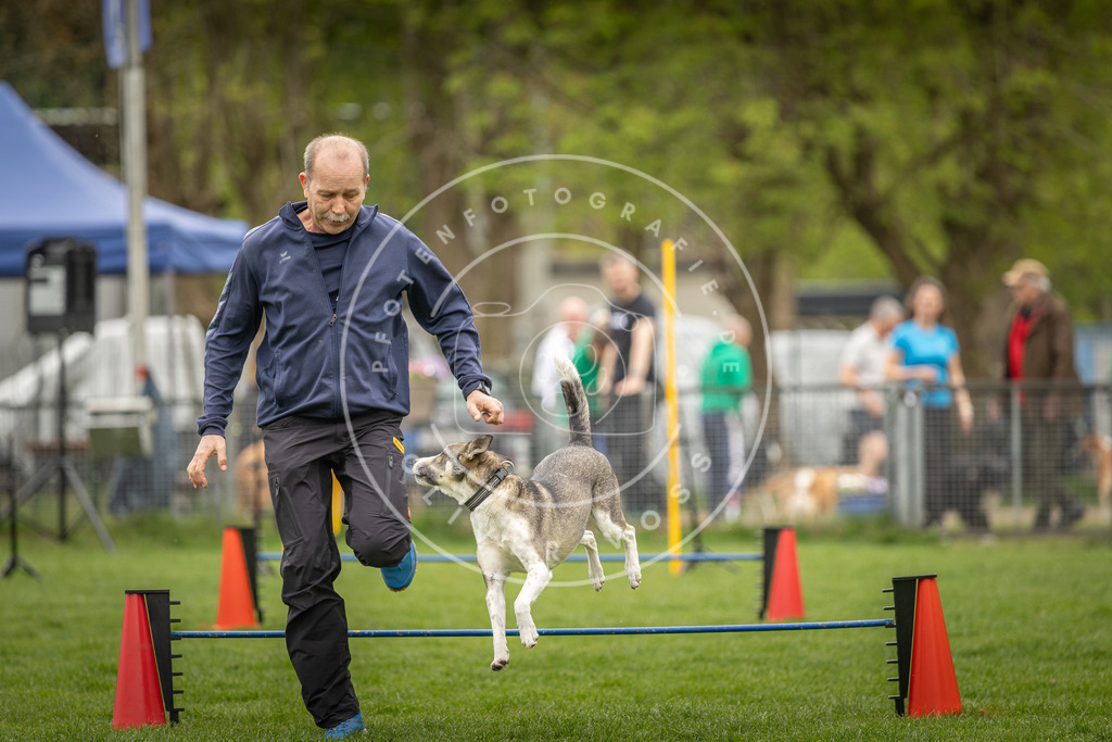 Pfotenfotografie_DV3A2397 | Hundefotografie, Tierfotograf, Pfotenfotografie, Fotoshooting Hund, Hunde Portrait, Hundesport, Hundeportraits, Heideshooting, Hunde, Sportfotograf, Hundefotograf, Turnierhundsport, THS,  - Realisiert mit Pictrs.com