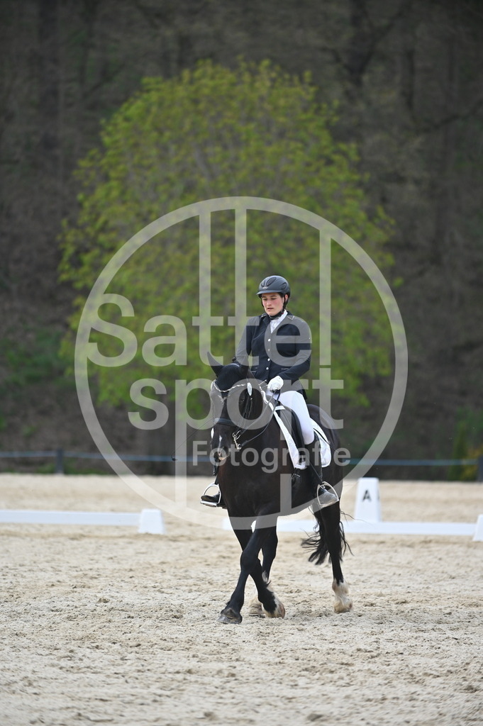 DSC_5195 | sattelsport - Realisiert mit Pictrs.com