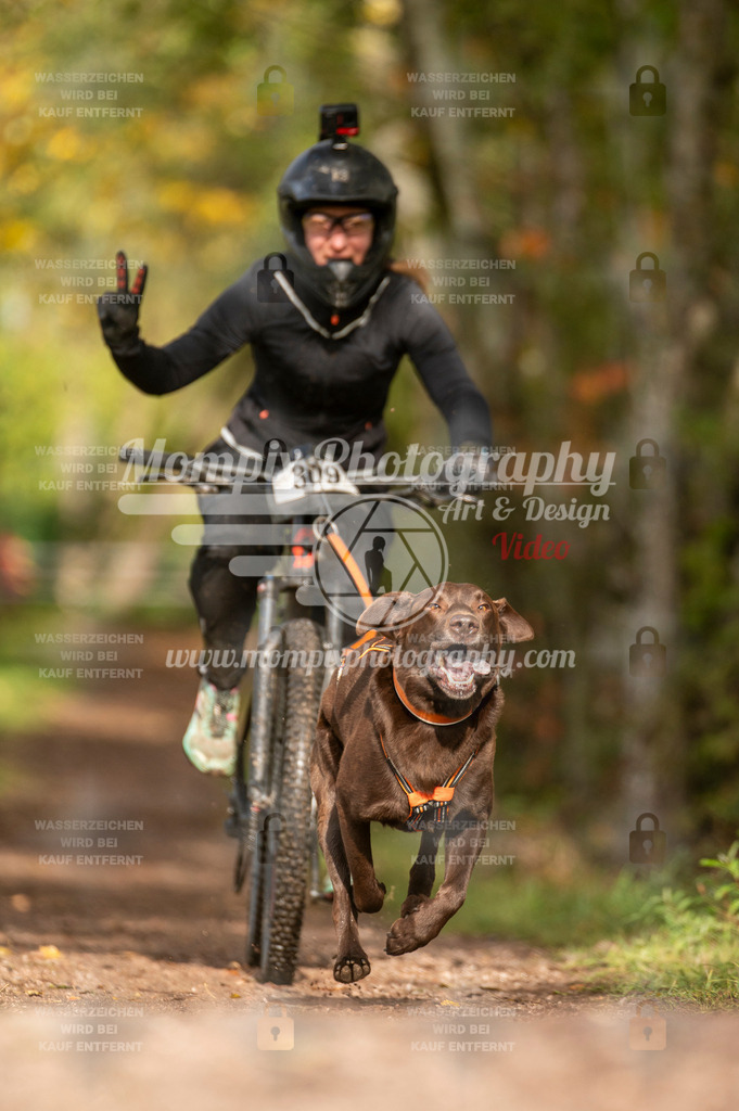 TSB_2023_E4_Bike-72 | PayLife