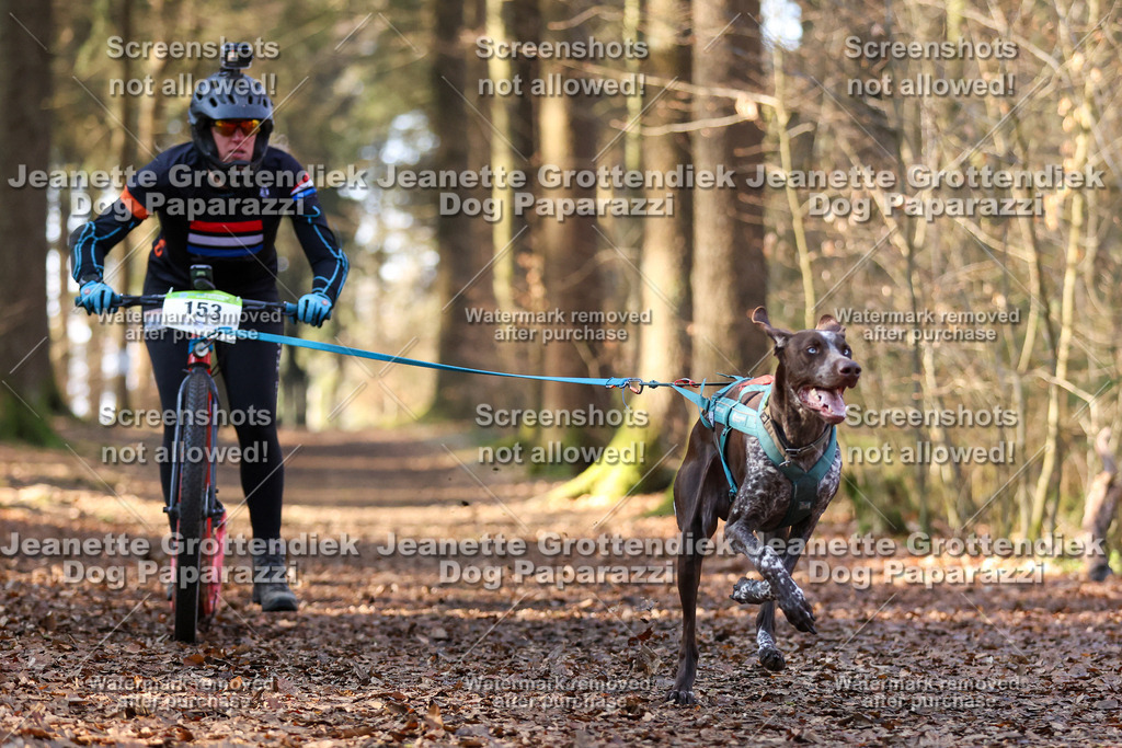 Dog Paparazzi - VCC26-877 | Dog Paparazzi Jeanette Grottendiek Fotografie & Videografie - Realisiert mit Pictrs.com