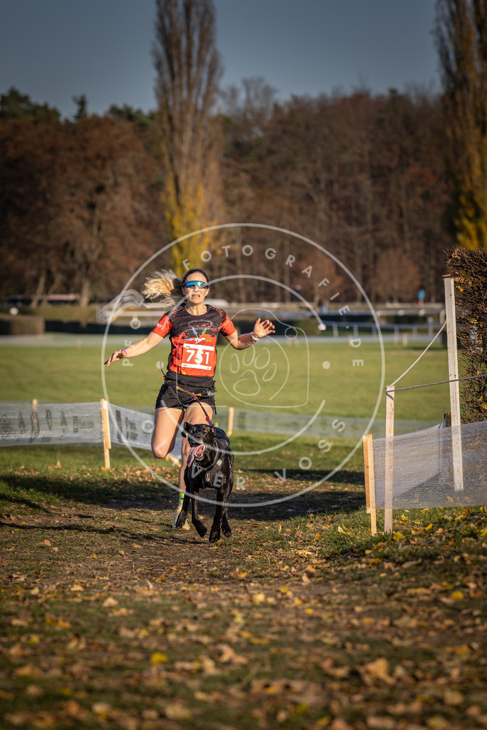CaniXpix_DV3A2424 | Hundefotografie, Tierfotograf, Pfotenfotografie, Fotoshooting Hund, Hunde Portrait, Hundesport, Hundeportraits, Heideshooting, Hunde, Sportfotograf, Hundefotograf, Turnierhundsport, THS,  - Realisiert mit Pictrs.com