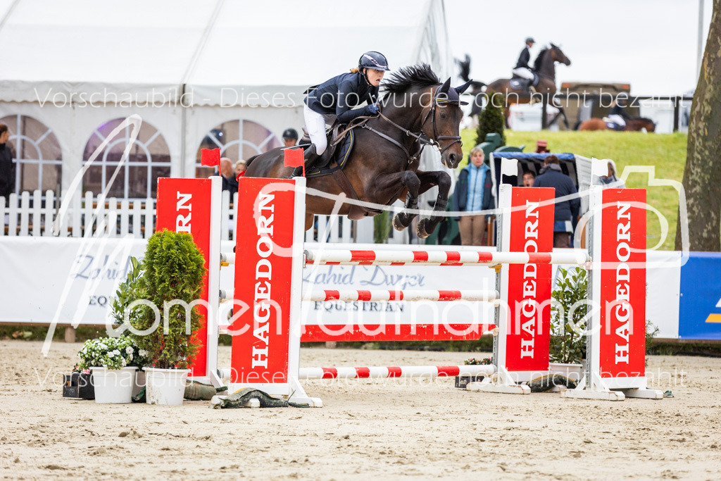 BHO-2PhSpr-M-231 | MomenTaufnahmen Pferdesportfotos