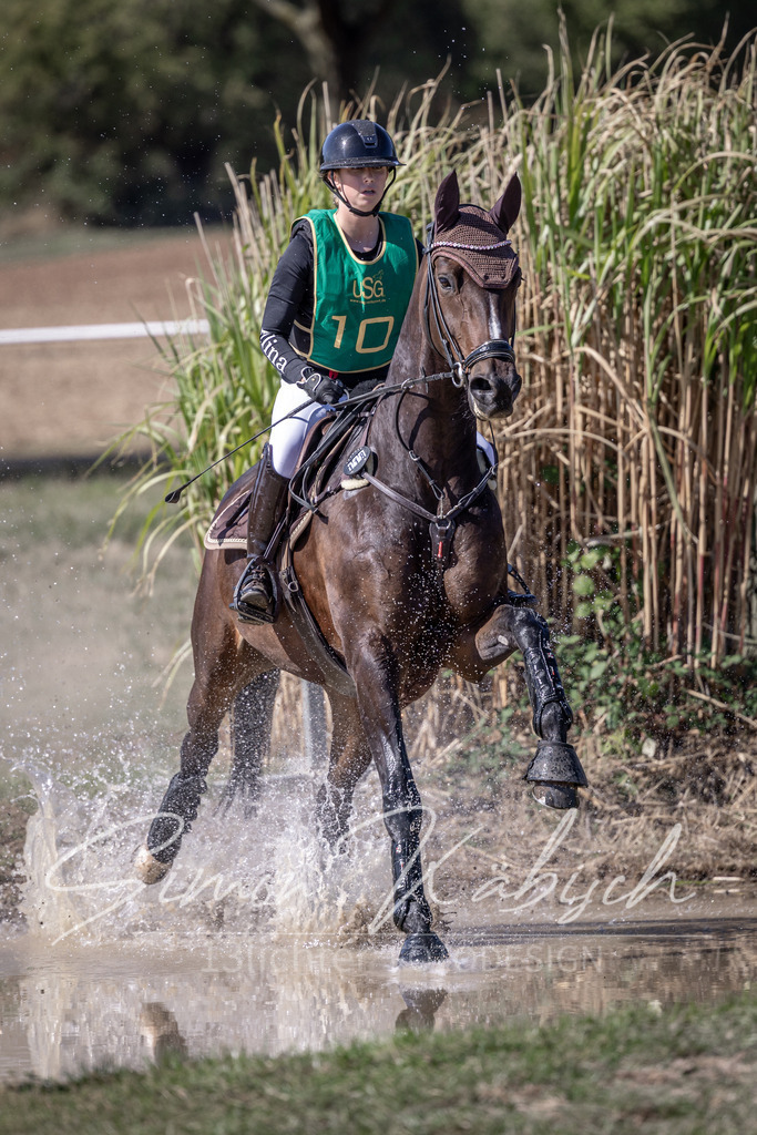 20260906-_3LI5661 | Tierfotografie Pferde, Hunde, Katzen, Haustiere.
Turnierfotografie Reitturniere, Reiten, Springreiten, Dressur in Hanau, dem Main-Kinzig-Kreis und dem Rhein-Main- Gebiet um Frankfurt