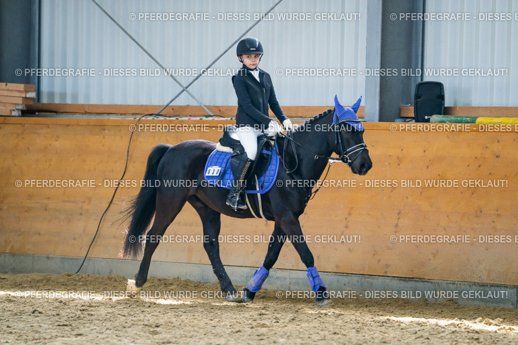 DSC02091 | Pferdegrafie