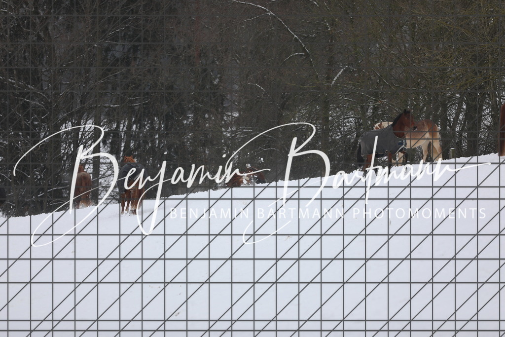 AZ2A3369 | Benjamin Bartmann Photomoments