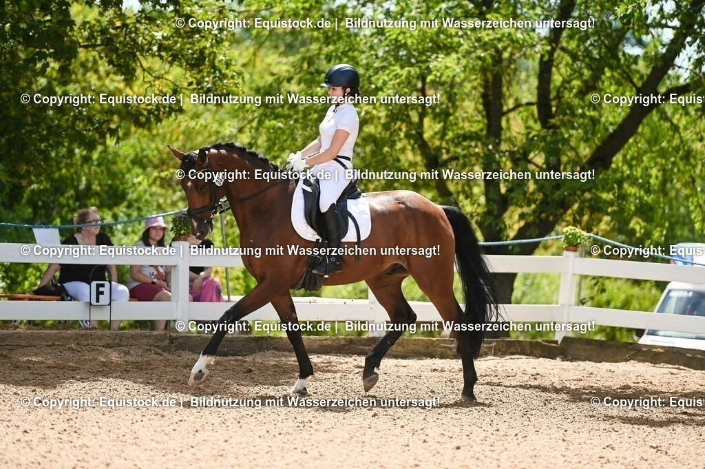 20230715_09_Dressur-WB_0167 | equistock