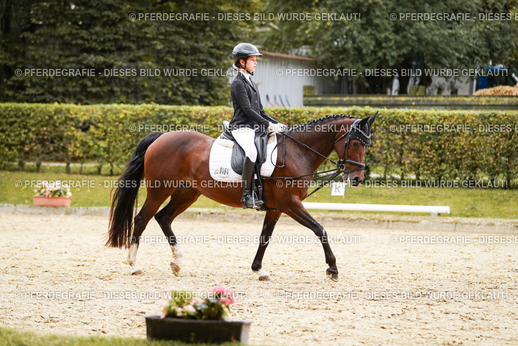 DSC09802 | Pferdegrafie