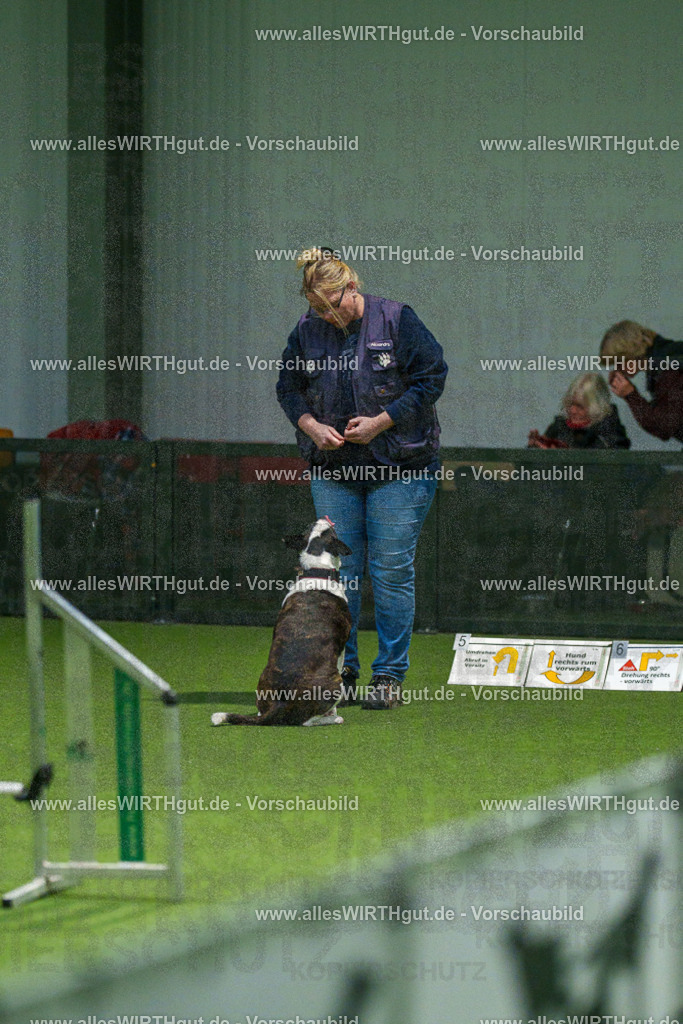 7R504715 | Professionelle Tierfotografie in Mönchengladbach von Daniel Wirth (allesWIRTHgut). Liebevolle & natürliche Bilder von Hunden & Katzen für unvergessliche Erinnerungen.