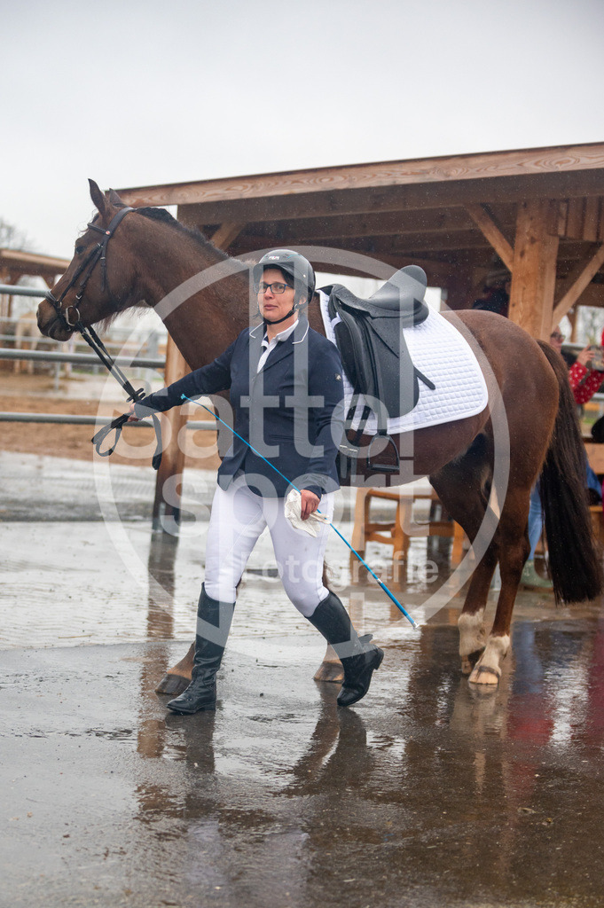 DSC_3763 | sattelsport - Realisiert mit Pictrs.com