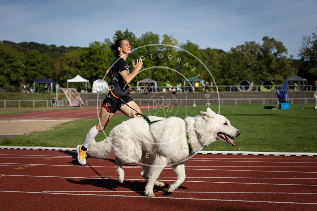 Pfotenfotografie_DV3A8973 | Hundefotografie, Tierfotograf, Pfotenfotografie, Fotoshooting Hund, Hunde Portrait, Hundesport, Hundeportraits, Heideshooting, Hunde, Sportfotograf, Hundefotograf, Turnierhundsport, THS,  - Realisiert mit Pictrs.com