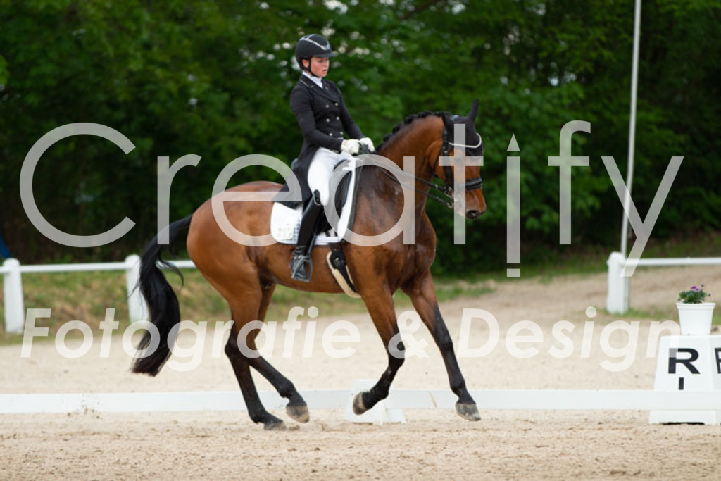 IMG_8589 | Creatify Fotografie