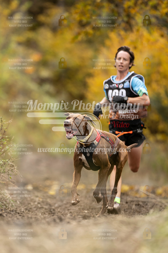 MompixPhotography_ICF_WC_2024_SA_Run_-380 | PayLife