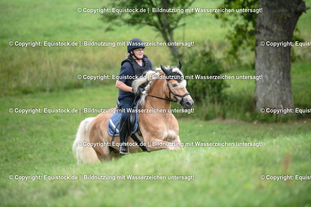 20250726_Vielseitigkeitslehrgang-Marbach_0482 | Foto: Thomas Hartig