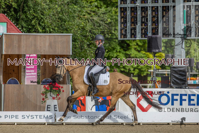 24.7.25 D1 34 (39 von 170) | mandyhollmannphotographie