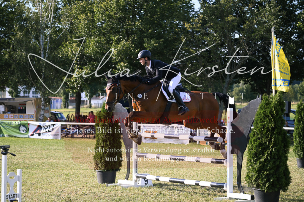 DSC_1706 | Pferde- und Turnierfotografie in Westsachsen. Pferdeportraits, Auftragszeichnungen und intuitive Kunst.