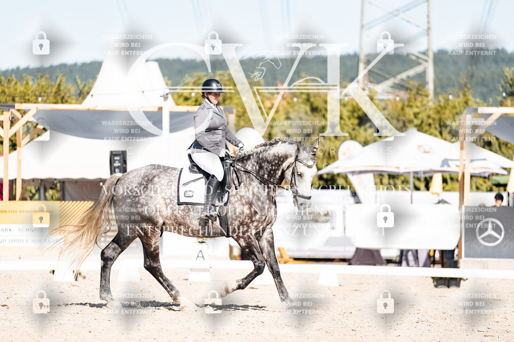 CK908332 | Turnierfotografie Pferdefotografie Trier Rheinland-Pfalz Pferdesport Reitsport Tierfotografie Sportfotografie Pferdevideo Pferdevideografie Equestrianvideography equestrianphotography  - Realisiert mit Pictrs.com