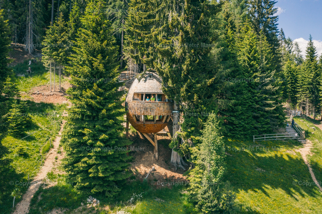 Malga_Priu_Karnische_Milchstrasse_2020-59 | piet_flosse