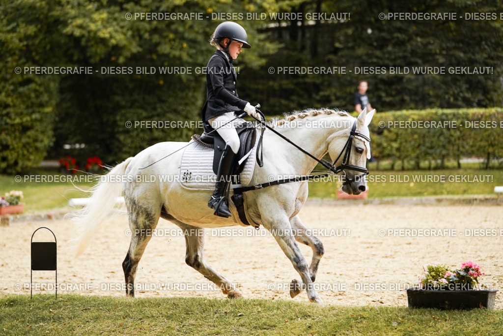 DSC09625 | Pferdegrafie