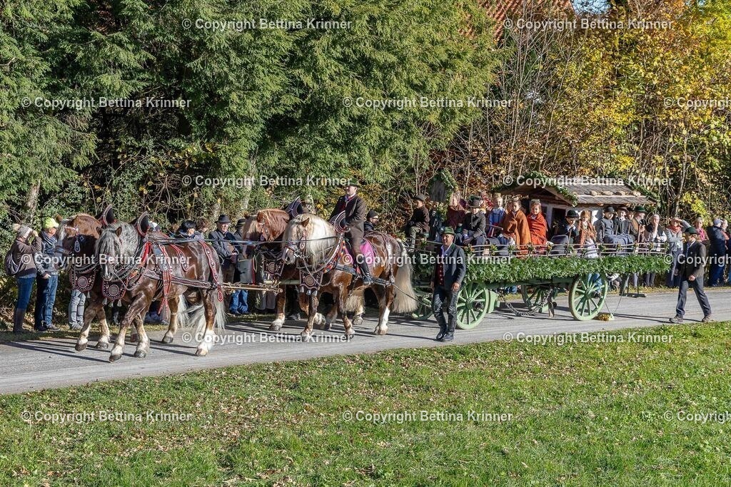 LBT25-388 | foto-bettina-krinner - Realisiert mit Pictrs.com