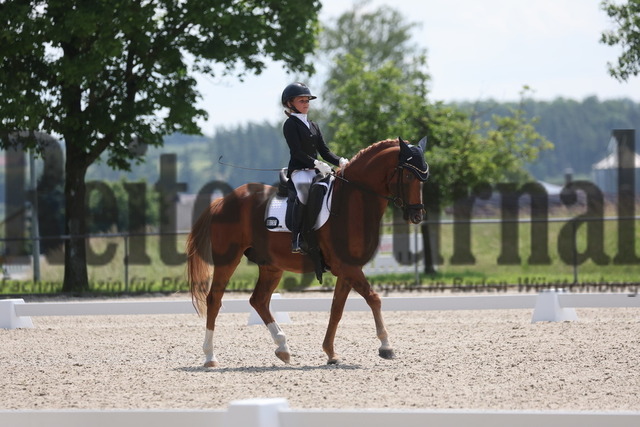 Rot am See_2024_Prfg.Nr.21_Qual.BCH_und_LCH_5-jähr.Ponys_Mary-Ann Hollenbach_Dein Traum (10) | Alle Fotos der Reiterjournal Fotografin Doris Matthaes im Reiterjournal Online-Fotoshop. - Realisiert mit Pictrs.com
