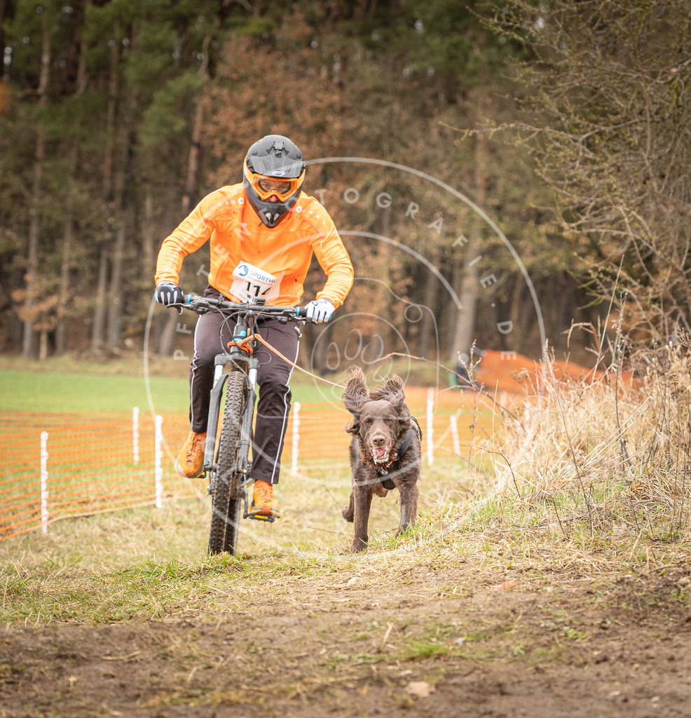 DV3A0939 | Hundefotografie, Tierfotograf, Pfotenfotografie, Fotoshooting Hund, Hunde Portrait, Hundesport, Hundeportraits, Heideshooting, Hunde, Sportfotograf, Hundefotograf, Turnierhundsport, THS,  - Realisiert mit Pictrs.com