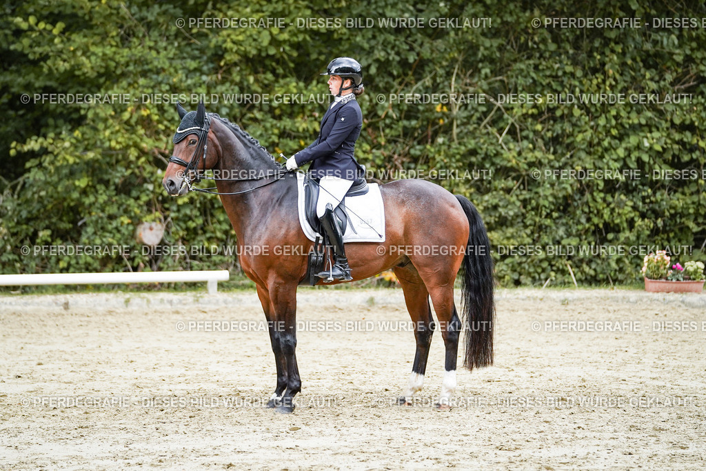 DSC06376 | Pferdegrafie