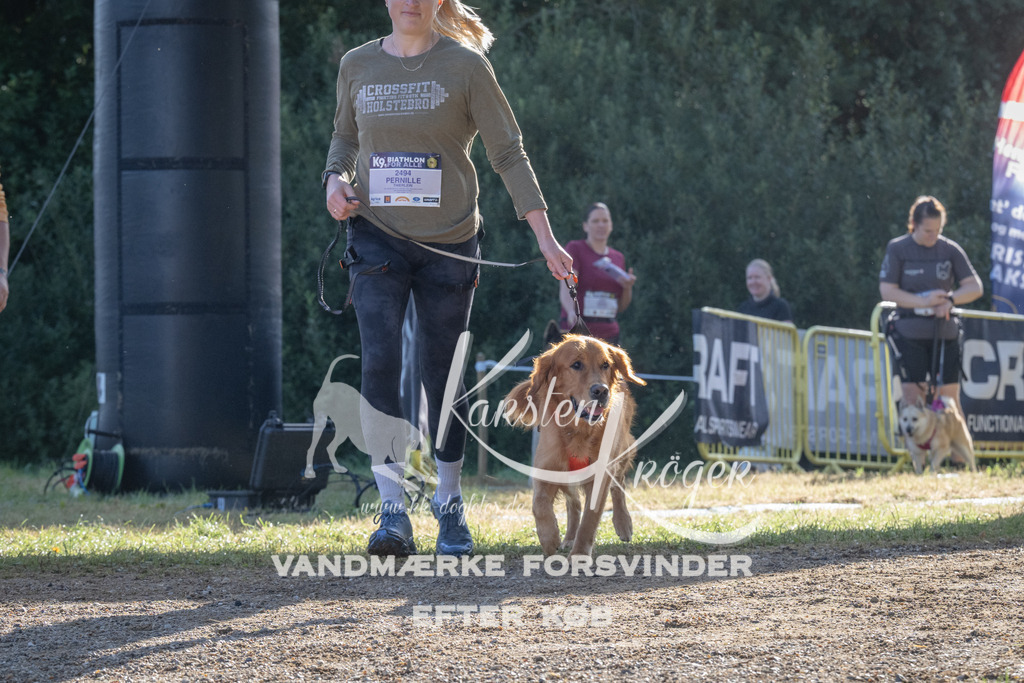 0909_ZZ94235 | kk-dogfotos
