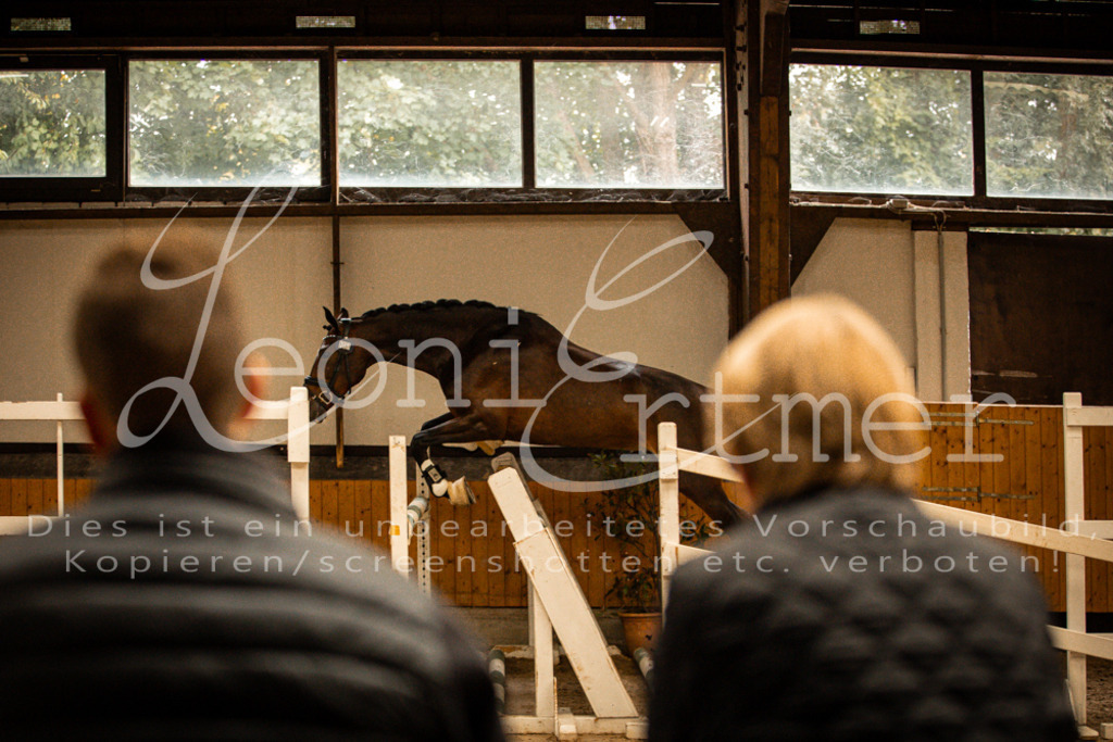 2FS_L00106 | Leoni Ertmer Photography - Realisiert mit Pictrs.com