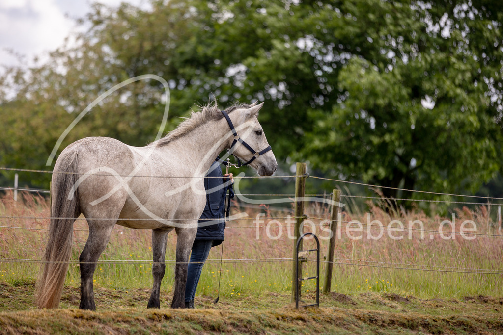 846A0727 | fotosleben - Realisiert mit Pictrs.com