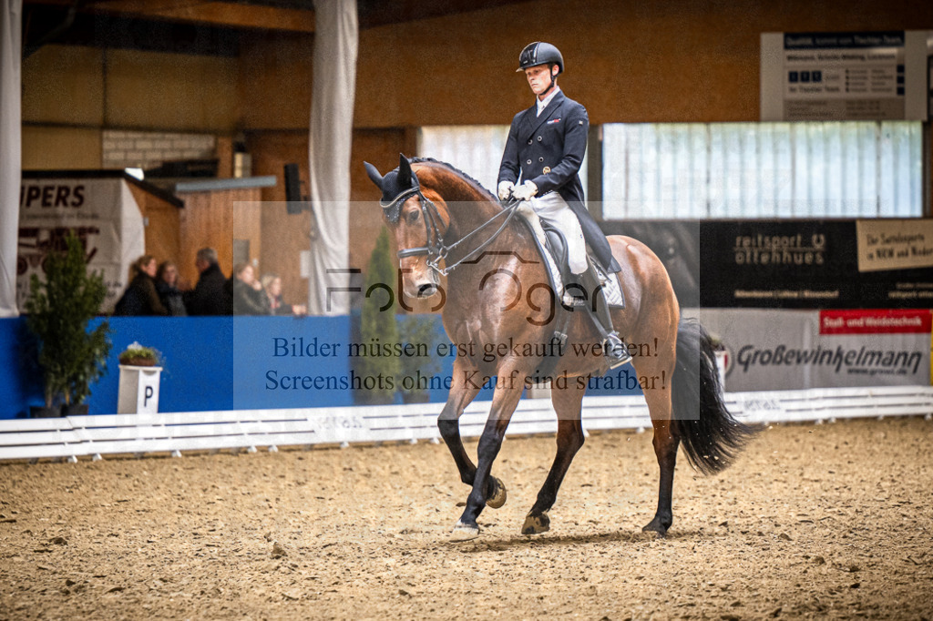 DOS_1039 | Entdecke hochwertige Reitturnierfotos von Foto Oger. Professionell, emotional und authentisch – jetzt Lieblingsmomente im Shop bestellen.Deutschlandweite Turnierfotografie. - Realisiert mit Pictrs.com
