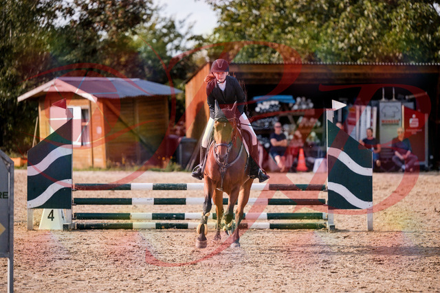 2026_10_03_Siefer-Hof_161037_Z81_90263092 | Professionelle Reitsport-, Turnier- und Eventfotografie von Robert Broda. Galerien mit ausgewählten und bearbeiteten Bildern direkt online ansehen und bestellen.