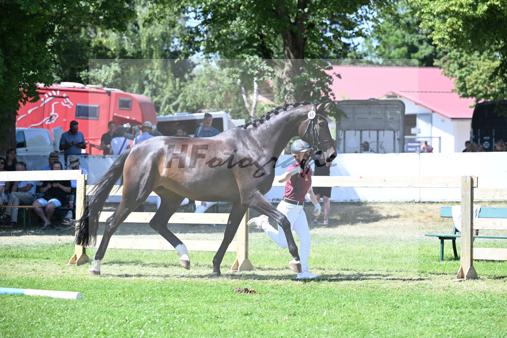 Kat-Nr. 45 Winzerin v. For Romance I_Enders_19250866 | hf-fotografie - Realizzato con Pictrs.com
