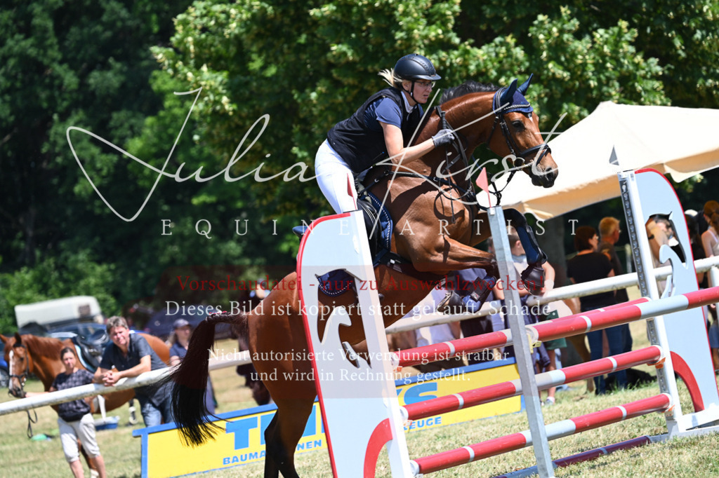 DSC_0627 | Pferde- und Turnierfotografie in Westsachsen. Pferdeportraits, Auftragszeichnungen und intuitive Kunst.