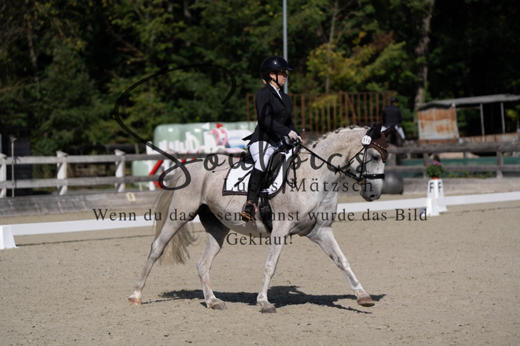 A7V07044 | Turnier/Reitfotograf