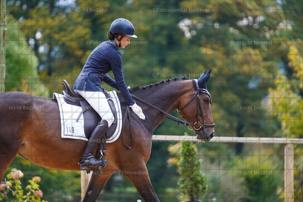 20221008-FAH00718 | Diessen am Ammersee, 2022, Dressur- und Springturnier, Reitsportbilder, Turnierfotografen Bayern, Pferdefotografen, Fotoagentur Herrmann, Turnierbilder