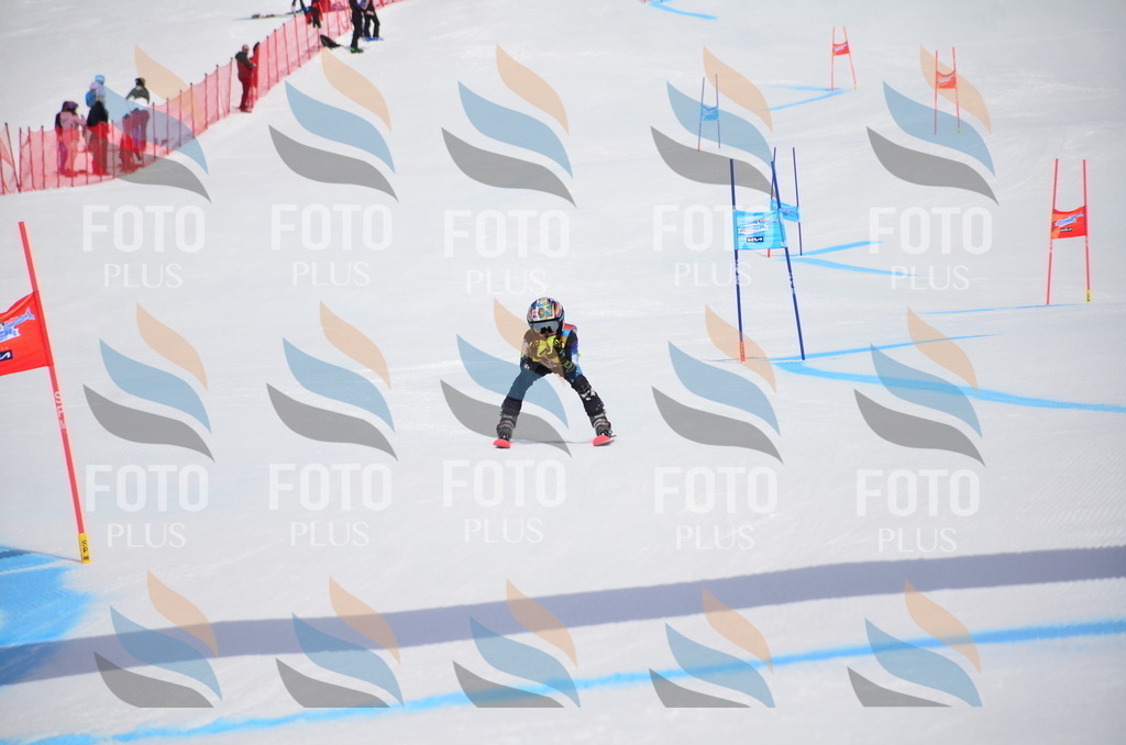 VR4_7317 | holidayphoto