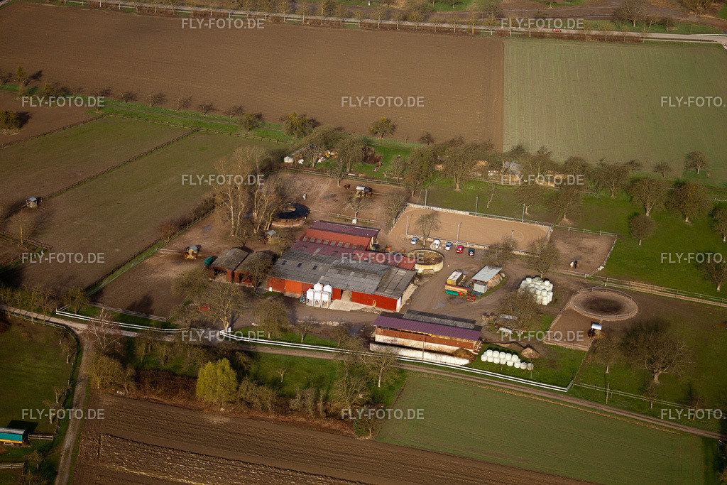 Wolfswiesenhof | Luftbild: Wolfswiesenhof in Au am Rhein im Bundesland Baden-Württemberg in Deutschland. Foto: IMG_25531.jpg vom 02.04.2010 durch Werner Riehm/FLY-FOTO.de - Realisiert mit Pictrs.com