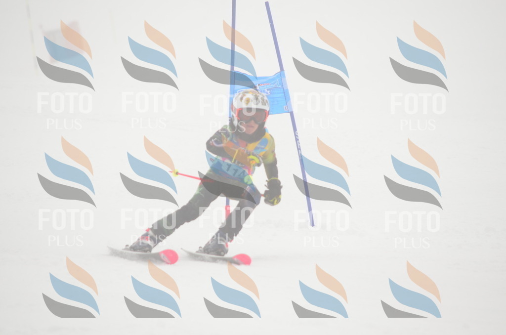 C1496 | holidayphoto