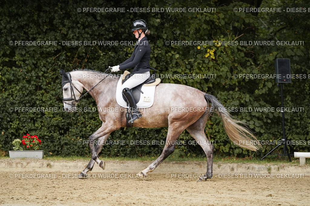 DSC00810 | Pferdegrafie