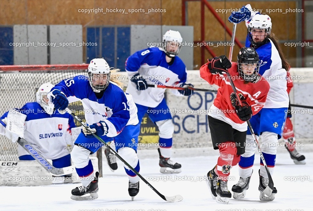 BST_3574 | hockey sports photos, Pressefotos, Sportfotos, hockey247, win 2day icehockeyleague, Handball Austria, Floorball Austria, ÖVV, Kärntner Eishockeyverband, KEHV, KFV, Kärntner Fussballverband, Österreichischer Volleyballverband, Alps Hockey League, ÖFB, 