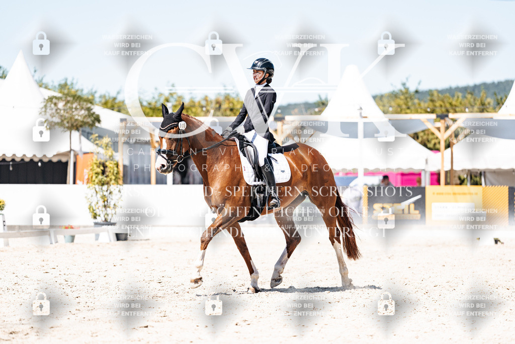 CK900486 | Turnierfotografie Pferdefotografie Trier Rheinland-Pfalz Pferdesport Reitsport Tierfotografie Sportfotografie Pferdevideo Pferdevideografie Equestrianvideography equestrianphotography  - Realisiert mit Pictrs.com