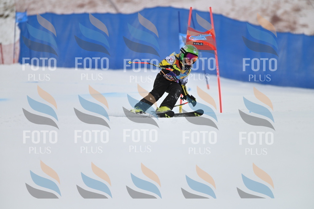 BGV_0570 | holidayphoto