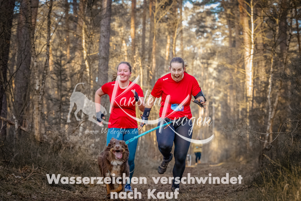 0826_ZZ91133-Bearbeitet | kk-dogfotos