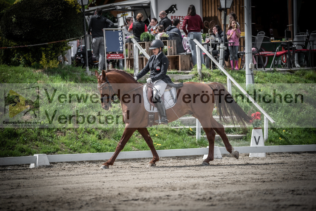 DSC_2613 | equestrian-live-com