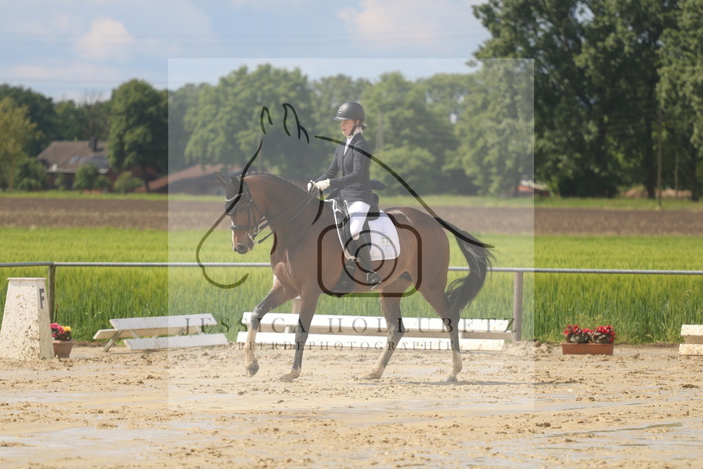 IMG_9125 | jessicahollubetz_pferdephotographie - Realisiert mit Pictrs.com