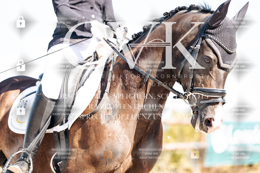 CK909475 | Turnierfotografie Pferdefotografie Trier Rheinland-Pfalz Pferdesport Reitsport Tierfotografie Sportfotografie Pferdevideo Pferdevideografie Equestrianvideography equestrianphotography  - Realisiert mit Pictrs.com